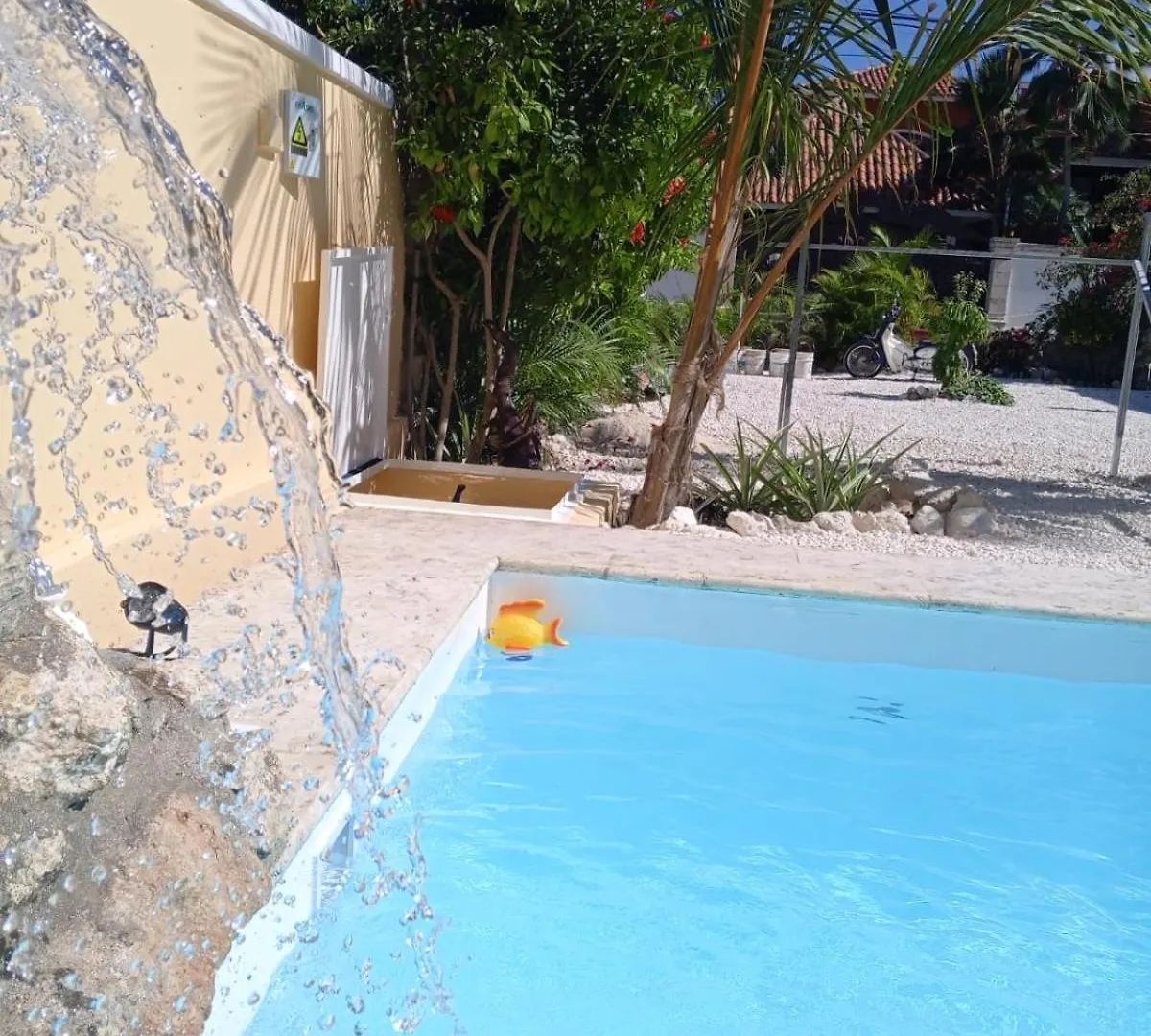 Ave Fenix Apartments contacts