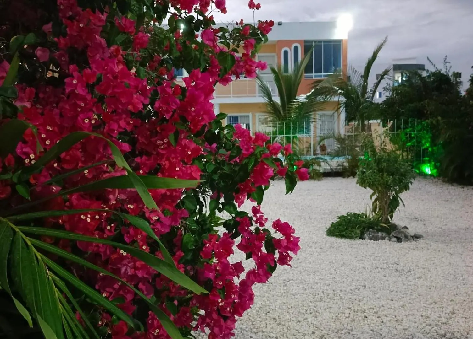 Ave Fenix Apartments Punta Cana